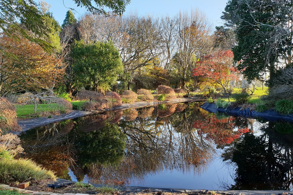 taurangaruru bandb